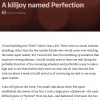 A killjoy named Perfection